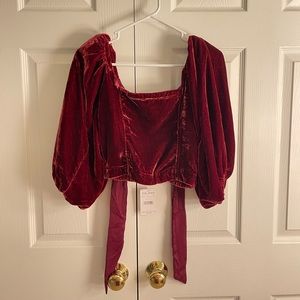 Free People Puff Sleeve Velvet Crop Top